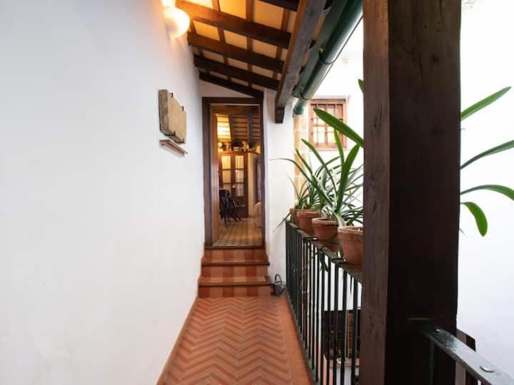 Historic House In The City Center Sevilla Exteriér fotografie
